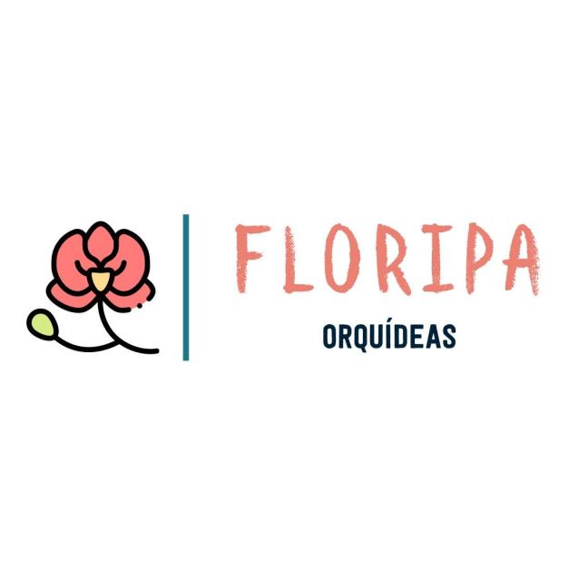 Floripa Orquideas