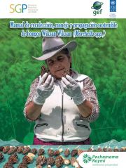 Manual de recolección, manejo y propagación sostenible de hongos Wiksan Wiksan (Morchella spp.)