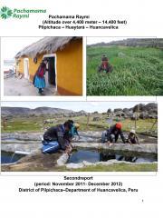 Second report in Pilpichaca (decembre 2012)
