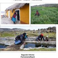 Segundo informe en Pilpichaca (didiembre 2012)