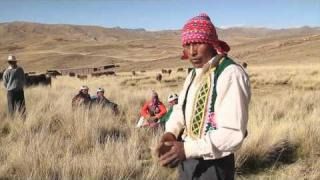 2011 - The farmers’ community of Pumathalla