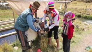 2013 - Video Pasantias - La crianza de Truchas 